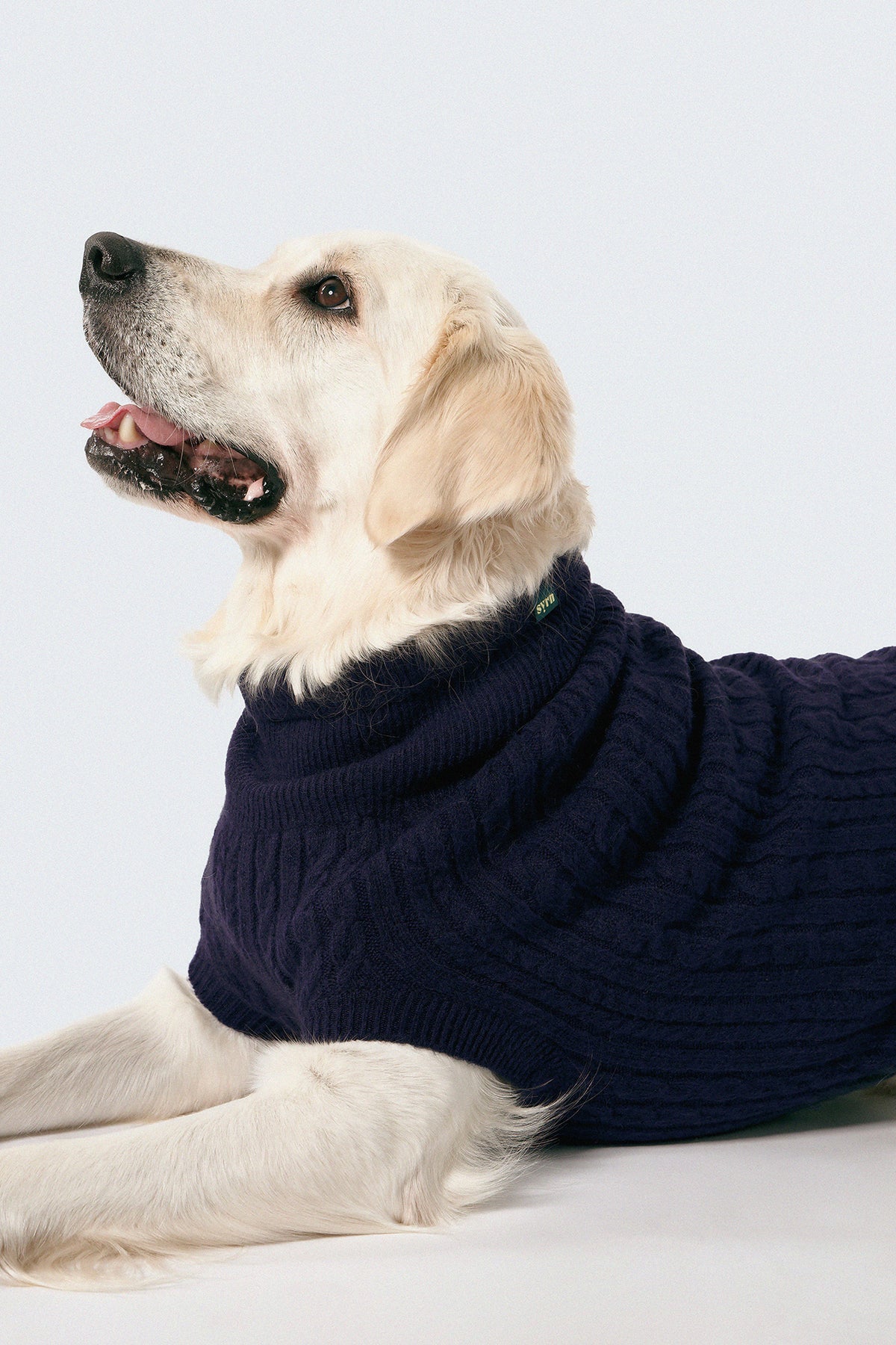 Moose wears L