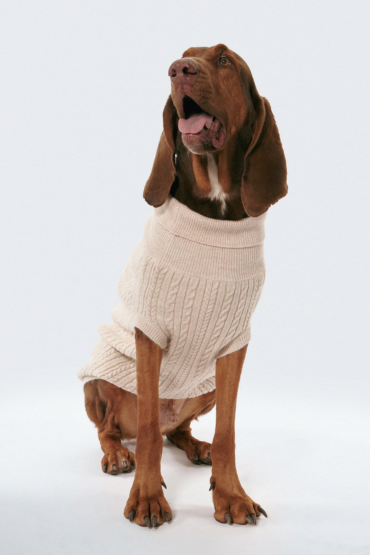 Clyde wears 2XL